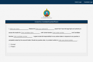 ZIMSEC O-Level Results 2024: How to Access Them Online