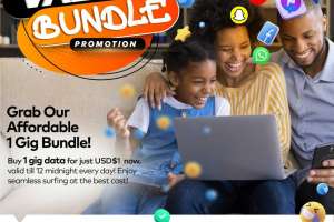 NetOne Introduces 1GB Bundle for $1